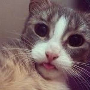 Meet your Posher, Cassandra